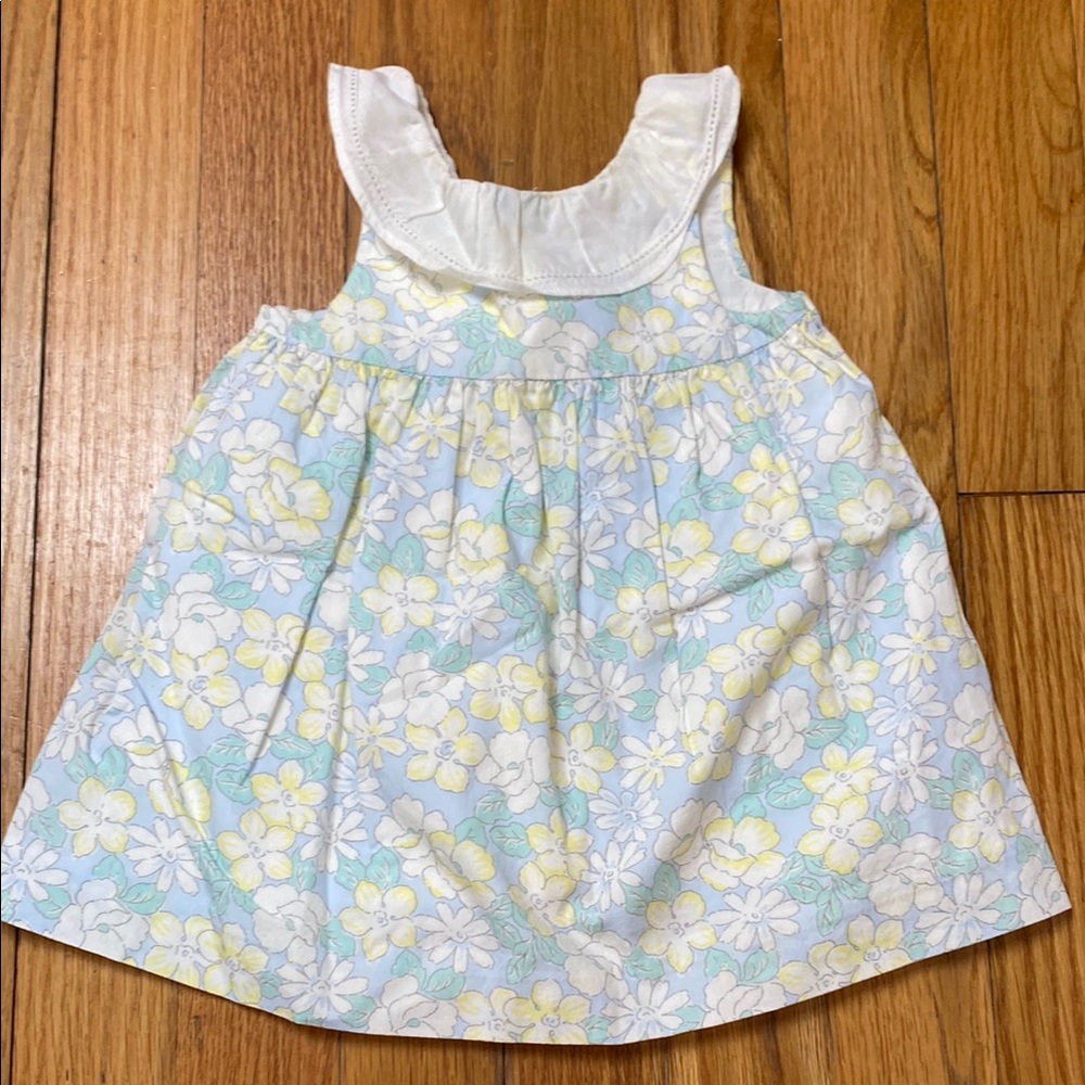 Janie and Jack Floral Baby Dress with White Collar